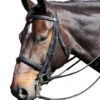 Vespucci Double Raised Weymouth Bridle