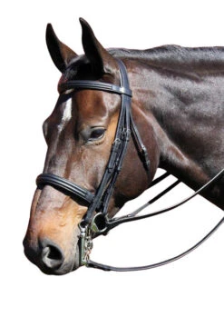 Vespucci Double Raised Weymouth Bridle