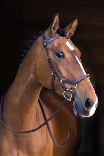 Horseware Ireland Rambo Original Micklem Multibridle - Image 3
