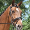 KL Select Italia Pirouette Snaffle Bridle