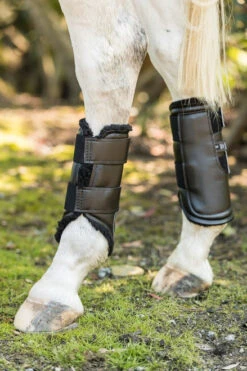 Euro Pro Askan Tall Hind Boot