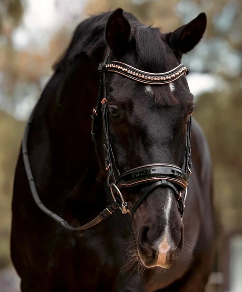 Halter Ego Aurelia Rose Gold Snaffle Bridle - Image 5