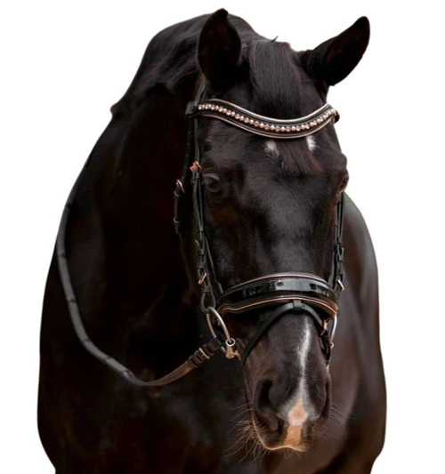 Halter Ego Aurelia Rose Gold Snaffle Bridle - Image 4
