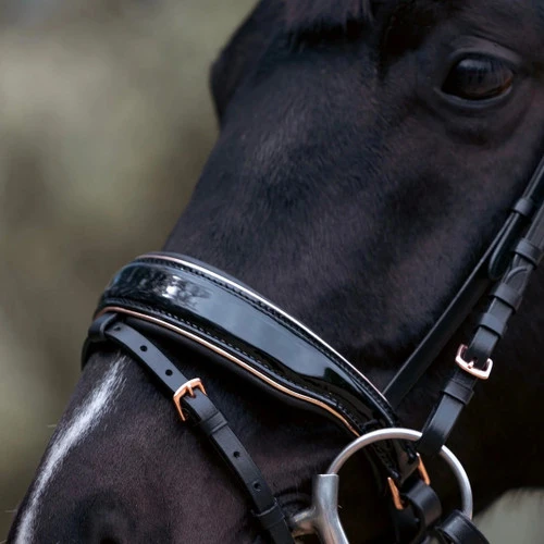 Halter Ego Aurelia Rose Gold Snaffle Bridle - Image 3