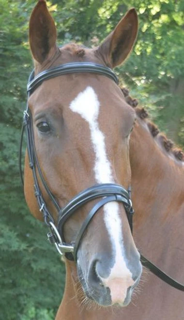 Black Oak Juniper Snaffle Bridle - Image 4