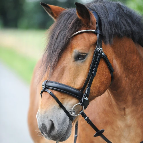 Kavalkade Clinchesse Snaffle Bridle - Image 3