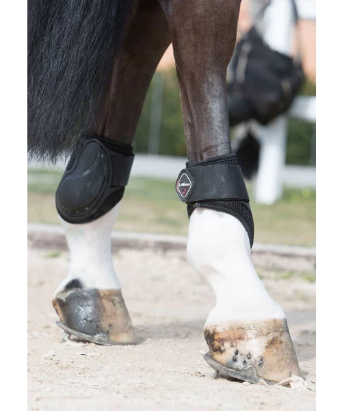 LeMieux Derby Fetlock Boots - Image 3