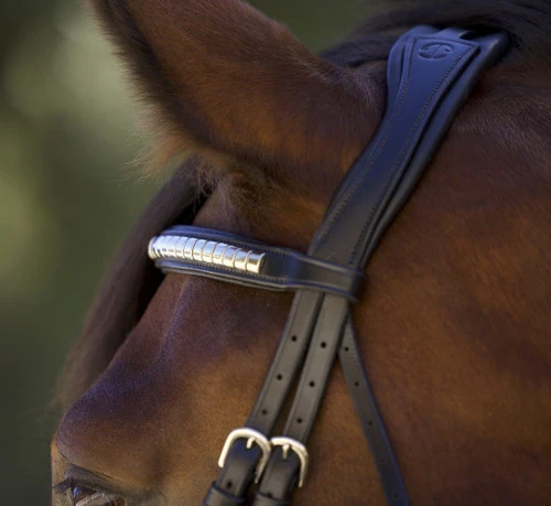 Halter Ego Galway Jumper Bridle - Image 3