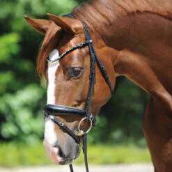 Kavalkade Grey Snaffle Bridle
