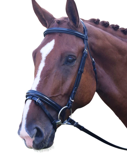Black Oak Juniper Snaffle Bridle