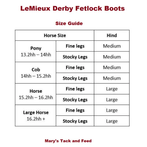 LeMieux Derby Fetlock Boots - Image 5