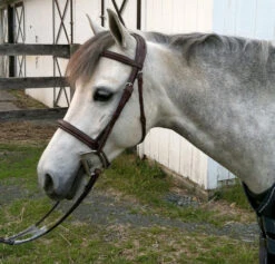 Nunn Finer Venice Fancy Stitch Pony Bridle