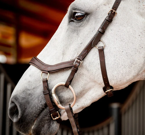 Horseware Ireland Horseware Micklem 2 Competition Bridle - Image 4