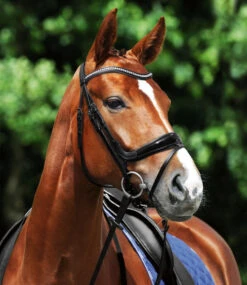 Passier Starlight Snaffle Bridle